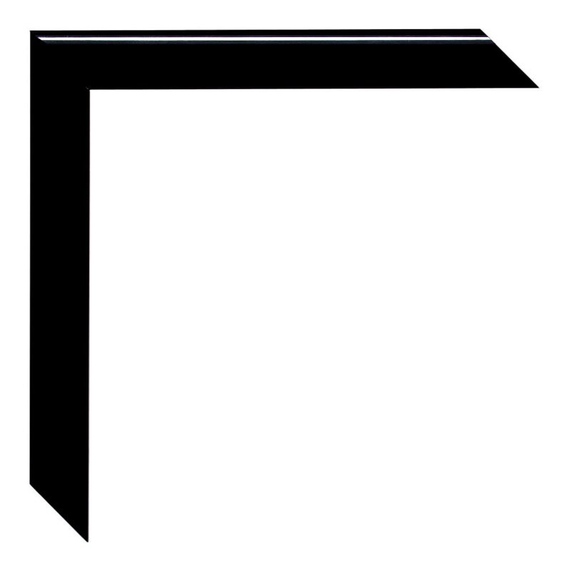 Landric Wood Picture Frame with Mat, Glossy black