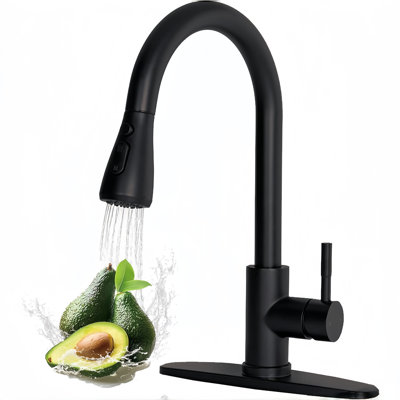 Kitchen Faucet with Pull Down Sprayer