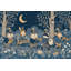 Papier peint forêt sombre nuit-299395627-299395638