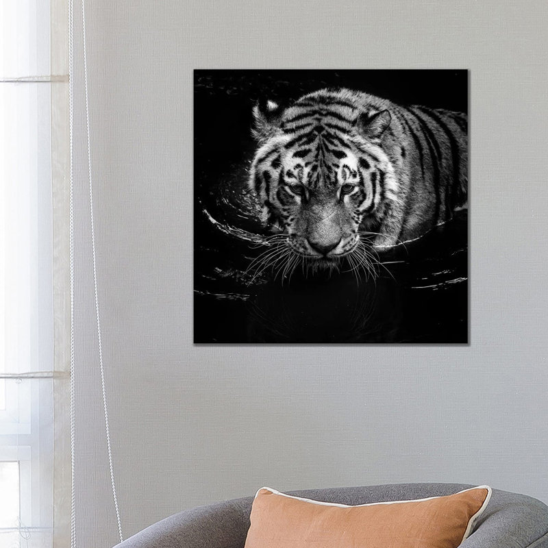 Tiger In Water by Lukas Holas - Wrapped Canvas Print, 66.04cm H x 66.04cm W x 1.905cm D