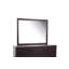 Miroir Ashoka