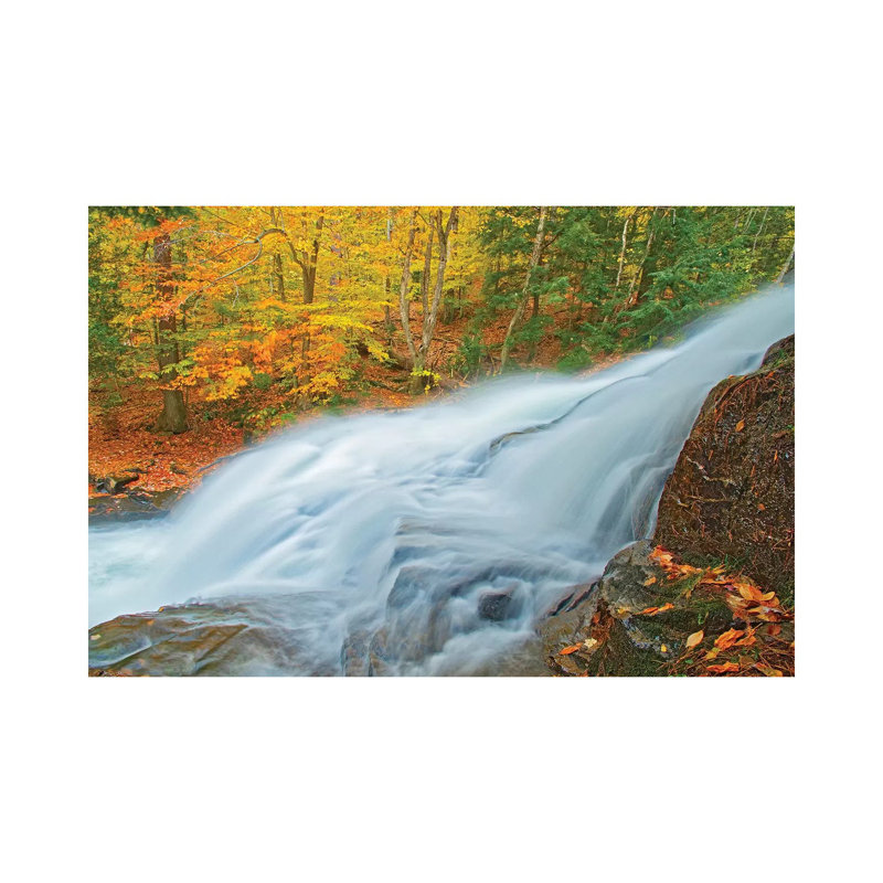 Canada, Ontario. Skeleton River At Hatchery Falls In Autumn by Jaynes Gallery - Wrapped Canvas Print, 66.04 cm H x 45.72 cm W