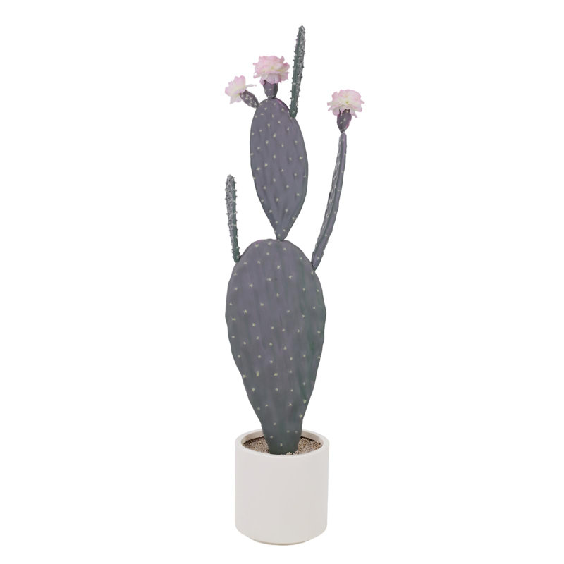 118cm Plant
