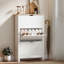 Armoire à chaussures étroite pour entrée avec 3 tablettes réglables