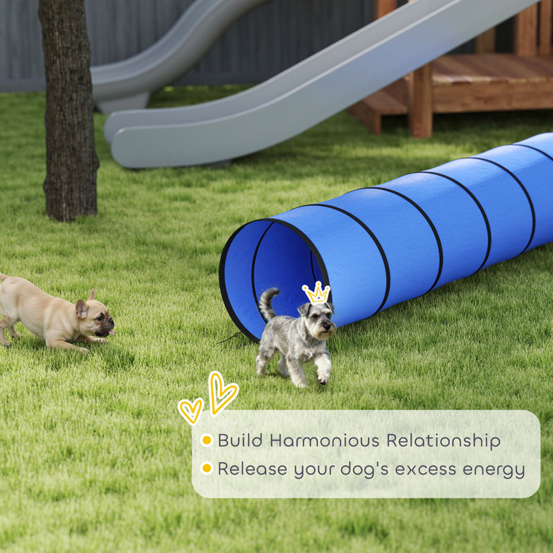 Dog Agility, 50cm H x 50cm W x 50cm D