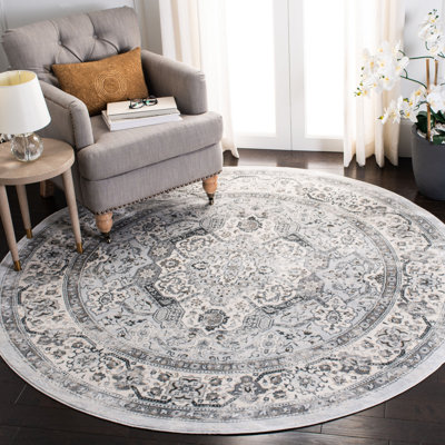 Delmer Performance Oriental Rug