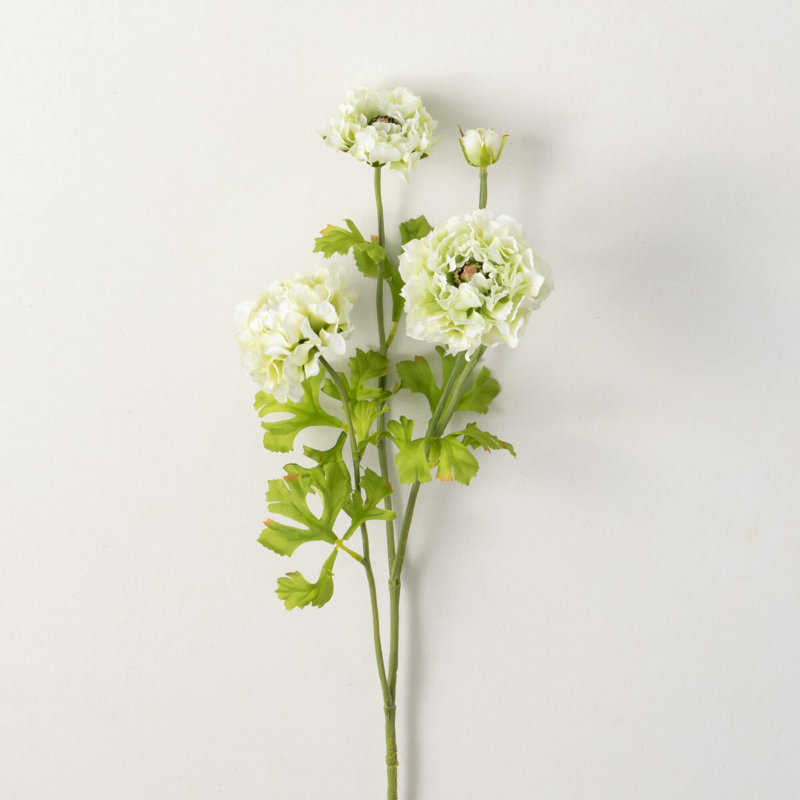Ranunculus Arrangement