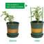 2 pièces H 17,72 po support en plastique pour plantes grimpantes, poteau de fleurs, plante grimpante-1322483724-1322483725