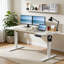 Bureau assis-debout électrique réglable en hauteur 63 po × 30 po, plateau en chêne et blanc