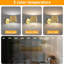 Rattan Flush Mounted Sconce