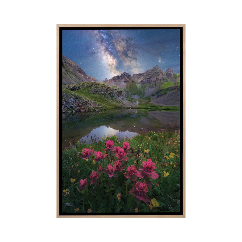 San Juan Mountains Indian Paintbrush Wildflower Milky Way Nightscape 1 Piece Wall Art on Canvas, Natural Wood