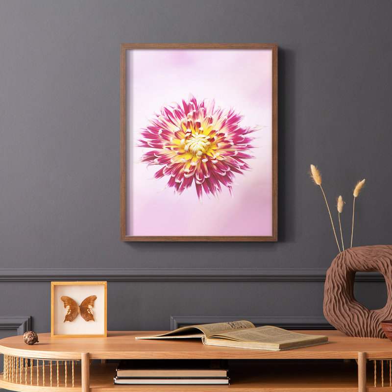Exotic Flower Burst I, reproduction encadrée - bois massif, Brun, H 10 po x l 8 po