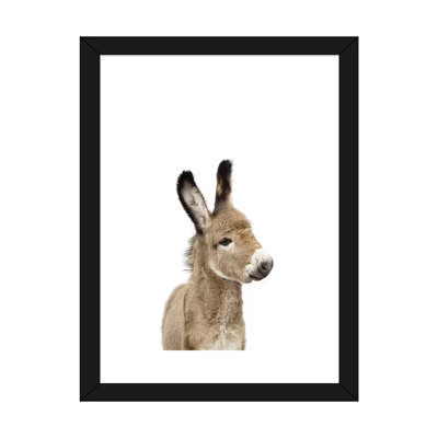 «Baby Donkey» par Sissi & Seb - reproduction de photo