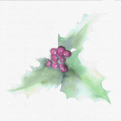 Aquarelle de houx