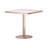 31.5"Square Modern Tulip Dining Table