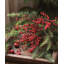 Fausse tige rouge d'hiver-723804212