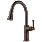 Artesso® Single Handle Pull-Down Kitchen Faucet