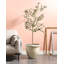 TESALIA Pot Planter-109270039
