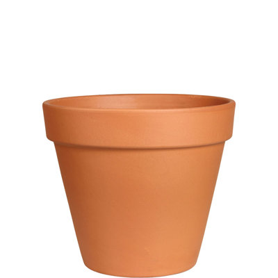Pot standard de 6 pouces