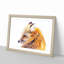 Red Fox in Winter - Framed Print-56758814-56758818