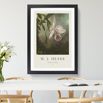 Orchid Blossoms by Martin Johnson Heade - Picture Frame Painting