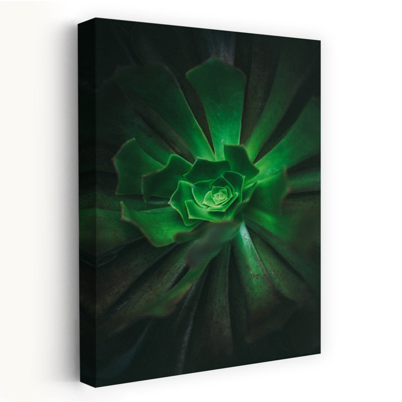 Art contemporain contemporain avec cactus, H 48 po x l 32 po