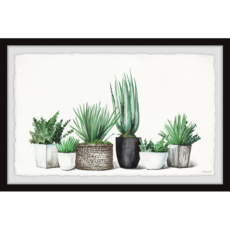 Assorted Succulents 1 Piece Single Picture Frame Painting, 20 cm H  x 30 cm W