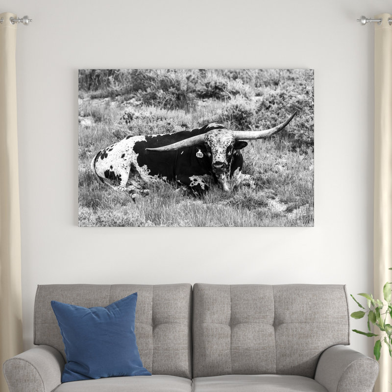 B&W Longhorn I, H 32 po x l 48 po x P 1,25 po