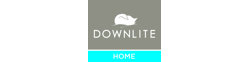 Logo Downlite