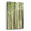 «Backlit Bamboo II» par Lori Deiter, art mural en verre acrylique-179949534