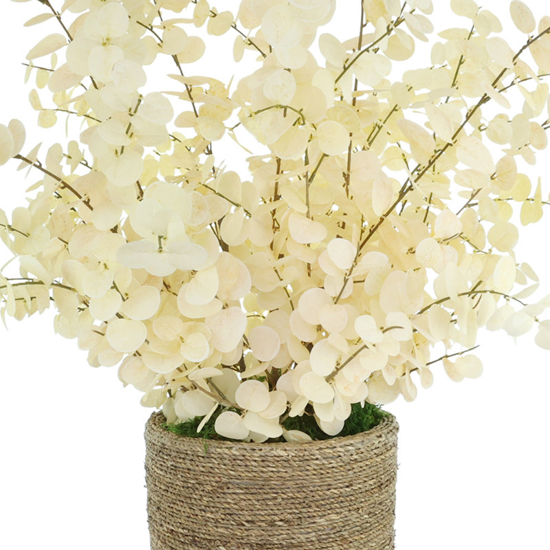 Eucalyptus Arrangement in a Rope Wrapped Planter
