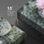 Cactus Desert Desert Southwest Ball Cactus rose sur-99543226