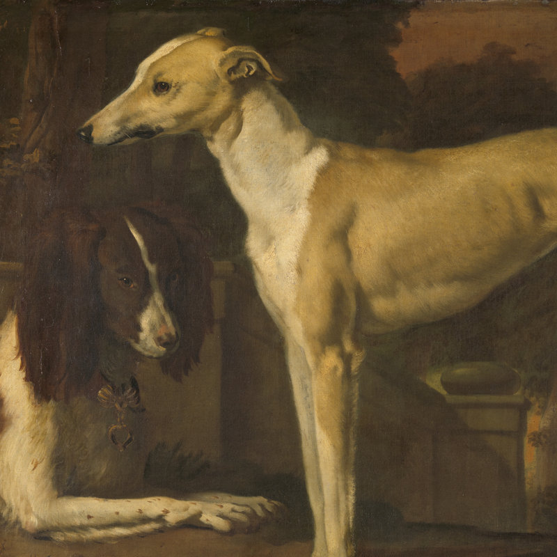 Portrait Of A Greyhound And A Partridge Dog Print by Jan Weenix