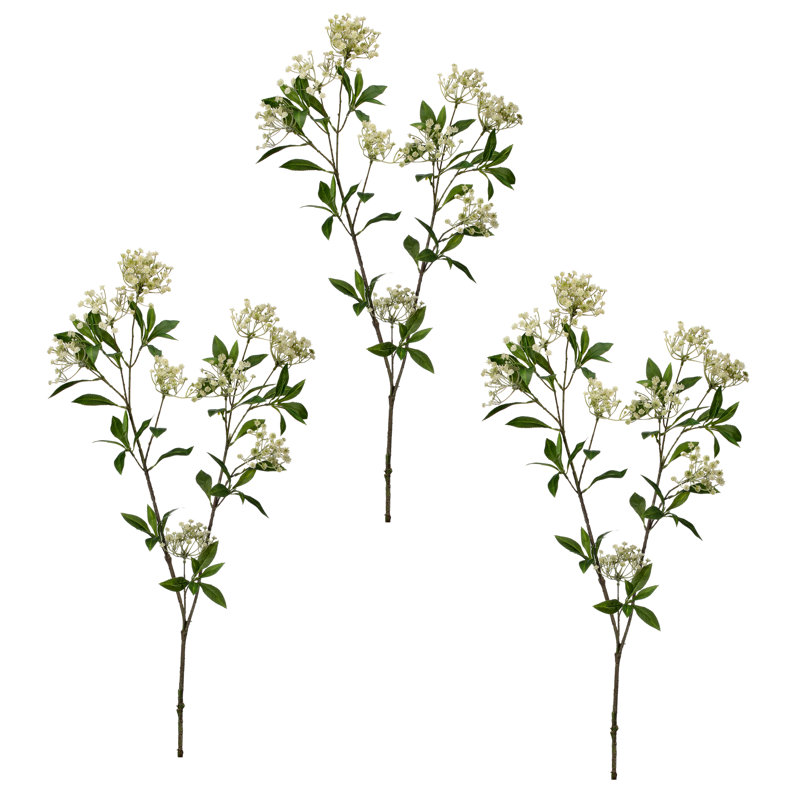 Jets de jardin 43 "Spirea