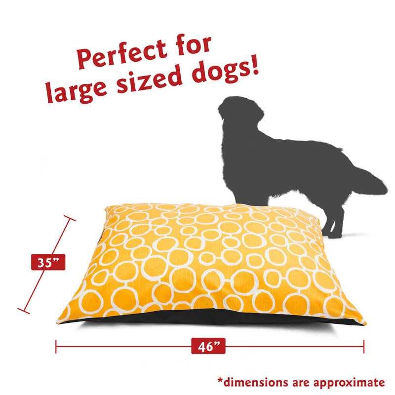 Lit pour chien Fusion Majestic, Grand (l 46 po x P 35 po x H 7 po), Jaune