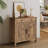 2 Door Accent Cabinet with drawer divider Cassiana-291922706