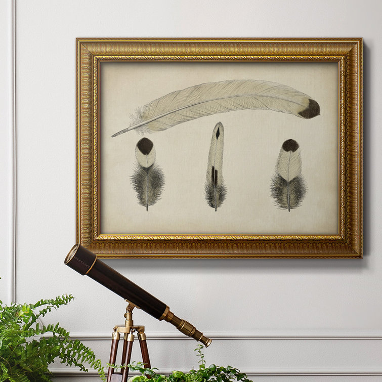 Bungalow Rose Vintage Feathers V - Picture Frame Graphic Art on Canvas ...