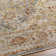Oriental Indoor Rug