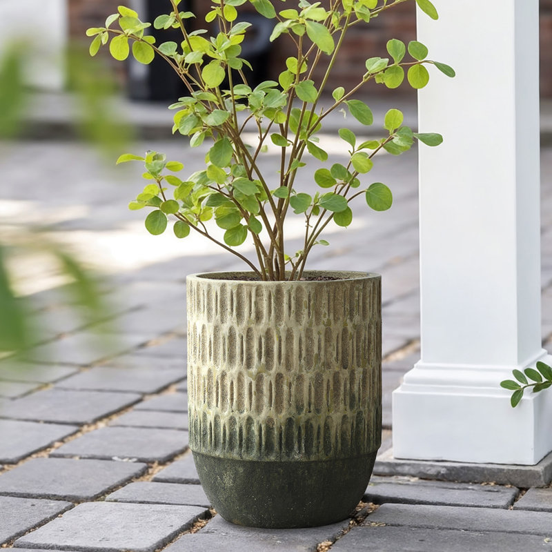 16.5'' H Two-Tone Outdoor Tall Planter, Textured Cement Plant Pot