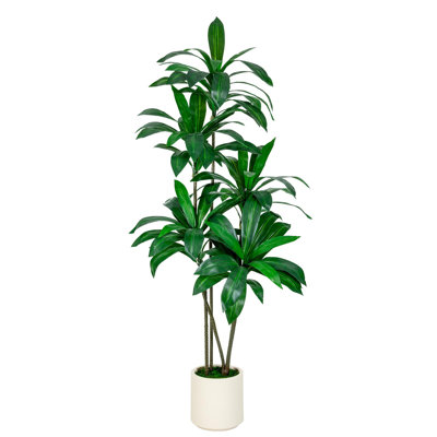Grand arbre Dracaena blanc 5 pi avec grand pot en bois naturel - Décoration d'intérieur et de bureau réaliste verte