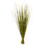 Faux Whip Grass Plant Preserved