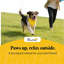 Rampe pliante pour animal de compagnie - 200 lb, poignée givrée, rails latéraux surélevés, patins antidérapants