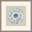 Daisy 4 Framed Print