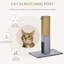 Latonya Scratching Post-189883566