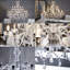 15-light chandelier-42615473