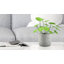  Vase en ciment Cracklestone Rustic