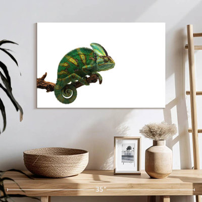 Green Veiled Chameleon