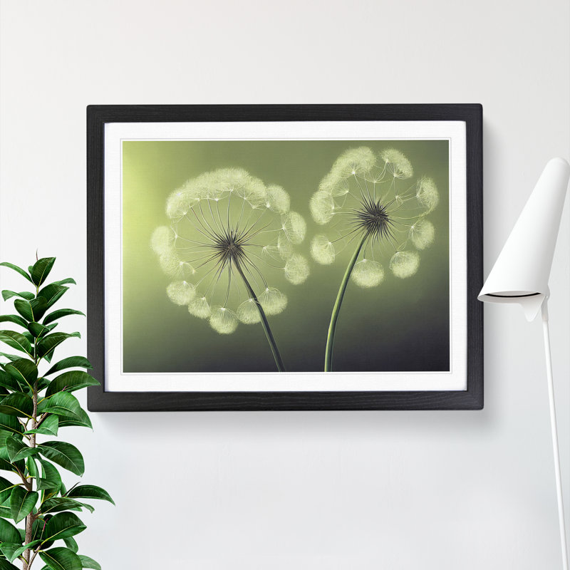 Soulful Dandelion Flowers - Single Picture Frame Print, 25cm H x 34cm W x 2cm D, Black