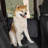 Westerly Pet Bed Cover