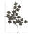 Traditional Plants & Flowers Wall Decor on Metal